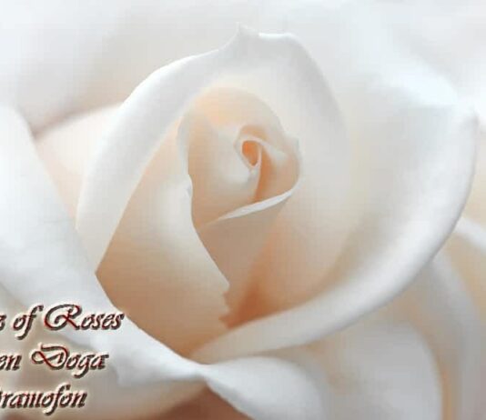 Gramofon | Waltz of Roses